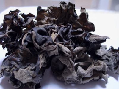 仙人球不能防辐射?公布最防辐射的4大食物。