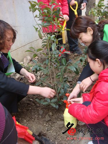 学生亲自动手植树 “植树节”里亲近自然
