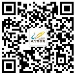 武汉房产 咸宁碧桂园 武汉房产 咸宁碧桂园