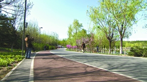 奥林匹克公园健身绿道