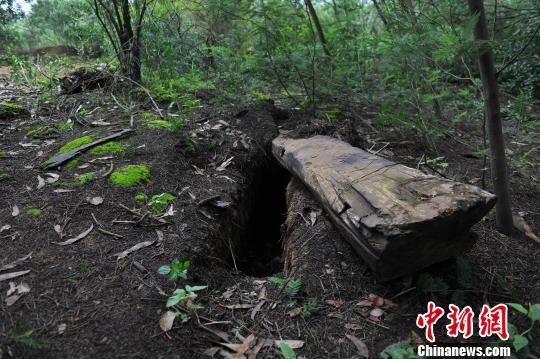 图为被开棺、毁棺的烈士坟冢。　任东　摄