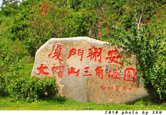 翔安大帽山三角梅园