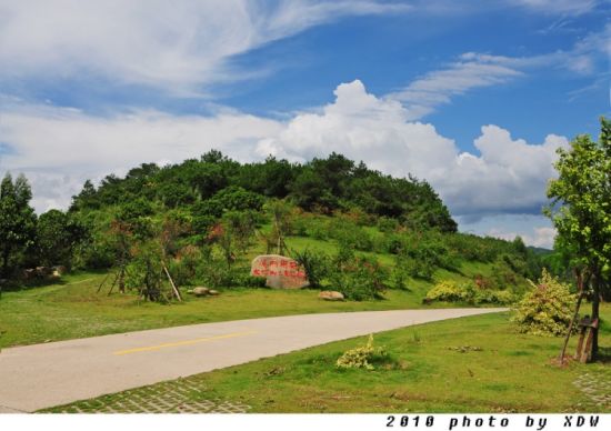 翔安大帽山三角梅园