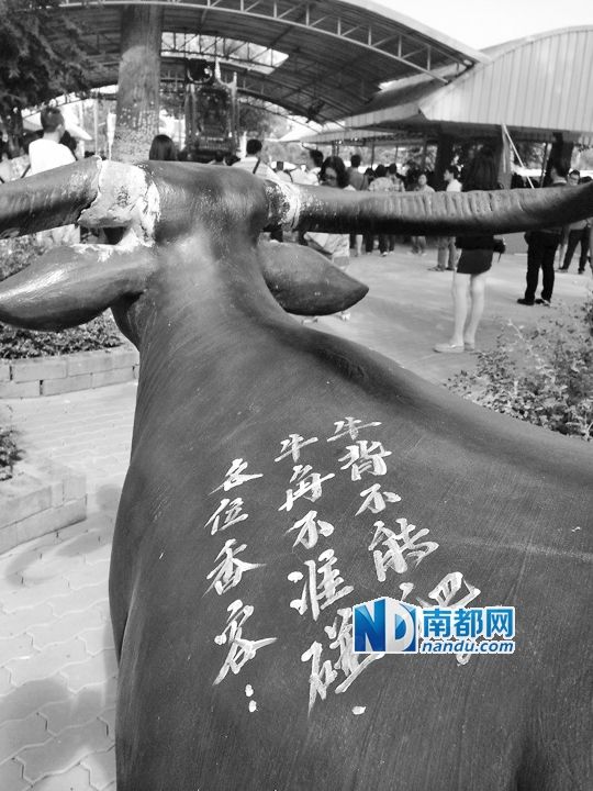 泰国寺庙的牛雕塑上,用中文写着禁止攀爬的告示。