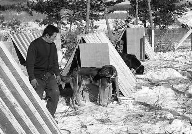 这只猎犬还在绝食N14