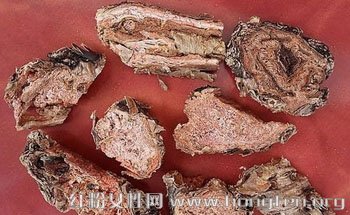 中医食疗养生:气虚体弱的人服用红景天最能补血补气