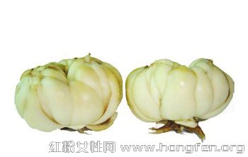 中医食疗养生指出常吃百合具有清心润肺改善失眠的功效