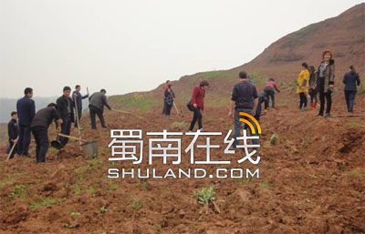 <a data-cke-saved-href=http://www.shuland.com/roll/ href=http://www.shuland.com/roll/ target=_blank class=infotextkey>泸州</a>密溪干群义务植柚.jpg