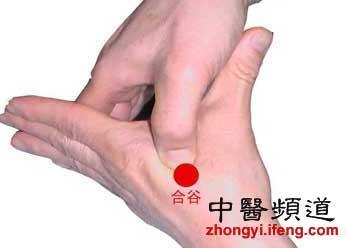 按摩美容4大穴位 让你拥有极致美肌(图)