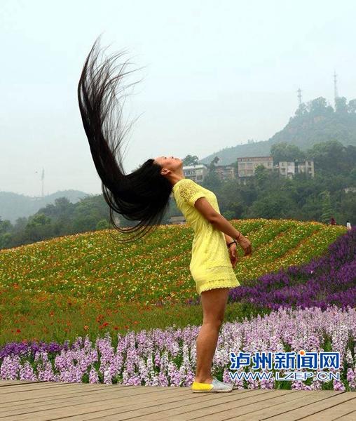 泸州长发美女很打眼 蓄发11年发长156厘米(图) 