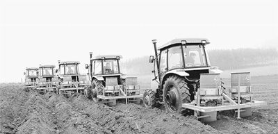图为江州区推进甘蔗生产全程机械化，大型拖拉机编队作业。