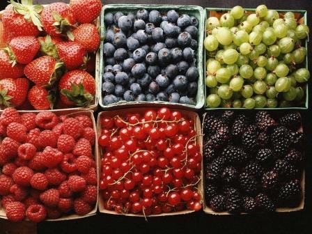 防癌养生:十二条黄金饮食准则击败癌症(组图)