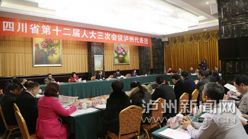 昨日,省十二届人大三次会议泸州代表团在成都举行会议。记者 吴良春/摄