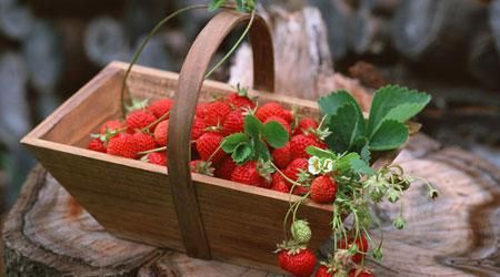 草莓怎么吃才健康？掌握“321原则”