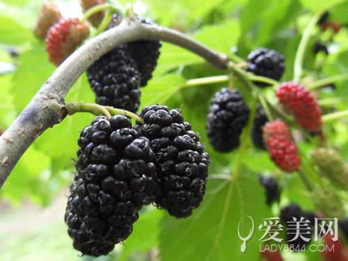 春季养肾好时节!这10件事你都做了吗?