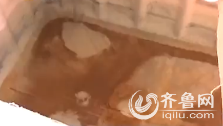 QQ截图20150816231705
