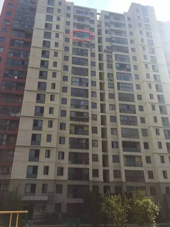 这便孩子是坠落的1503
