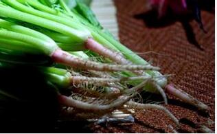 不要扔掉营养 家常菜的菜根也可入药膳