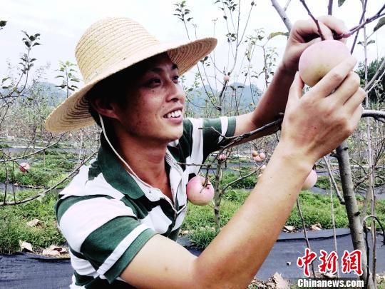 图为游客体验农耕文化。　杨云 摄