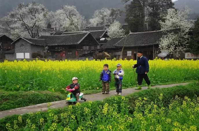 去过的人都说：贵州最美的春天，都藏在这个村里！海量美图