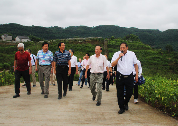 中国老教授（专家）乡村振兴康养文旅示范基地纳溪故里情源揭牌(图11)