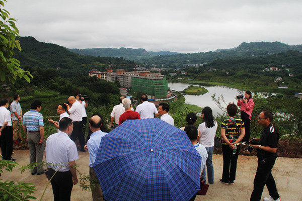 中国老教授（专家）乡村振兴康养文旅示范基地纳溪故里情源揭牌(图13)