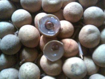 核桃芝麻苹果 为大脑加油的6种食物