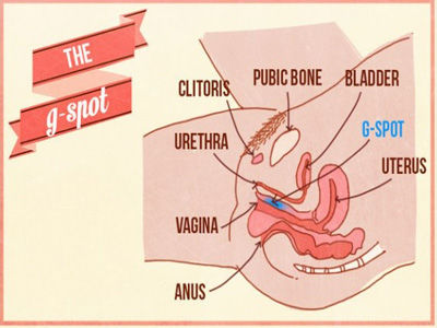 误解VS真相：G点到底存在吗？